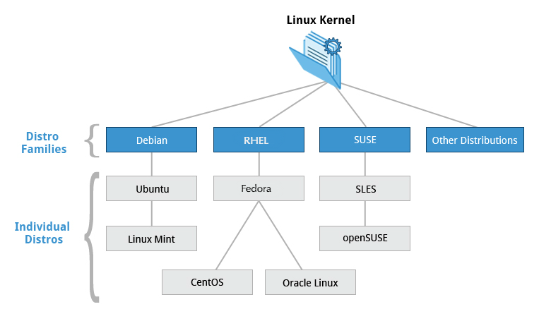 The 3 major families of the Linux Kernel